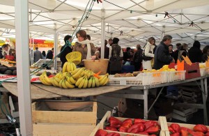 galerie - tente pliante barnum - mauguio